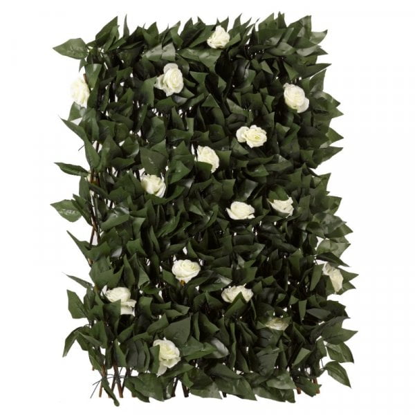 Lugas rács fehér rózsákkal - 180 cm