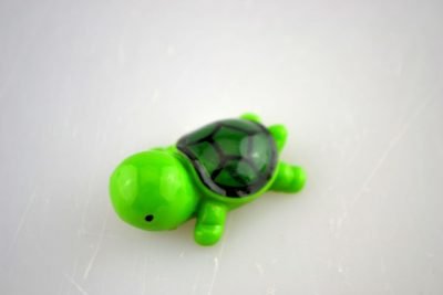 Mini teknősbéka Sötétzöld
