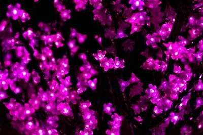 Karacsonyi-napelemes-LED-cseresznyefavirag-fenyfuzer-pink-2