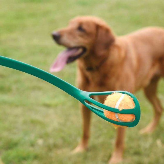 Műanyag apportírozó szett labda kutya játék 40 cm