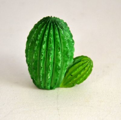 Tunderkert-mini-kaktusz-35-cm
