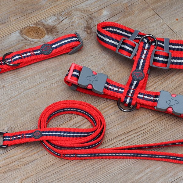 Windsor extra erős strapabíró kutya nyakörv - piros 4 méretben