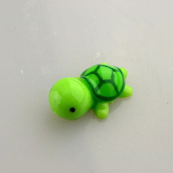 Mini teknősbéka
