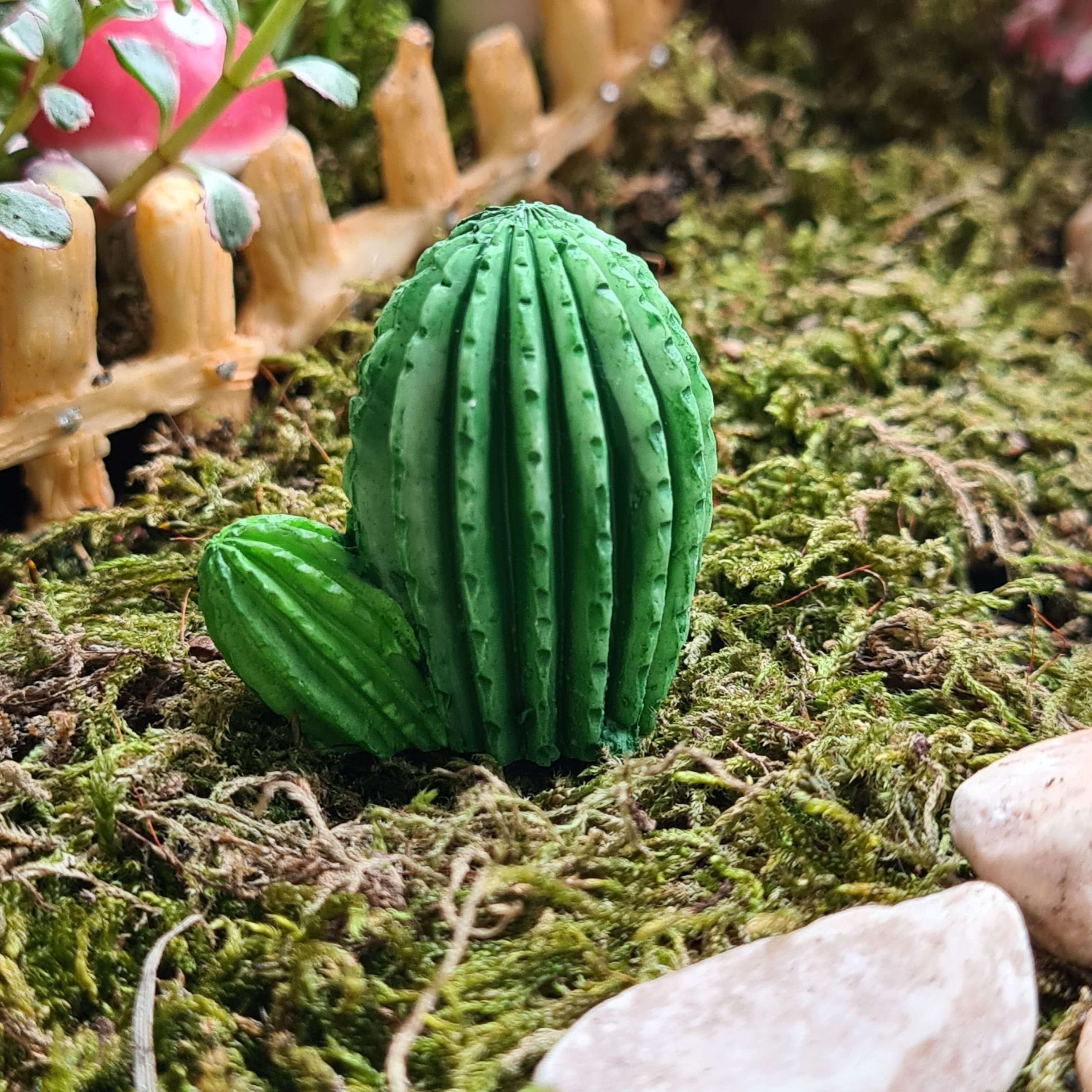 tunderkert-mini-kaktusz-35-cm